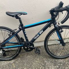 Kids 9spd Team Sky Edition Frog Racing Bike