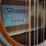 12 string Guitar Image 3