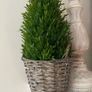 ShabbyChic basket Image 2
