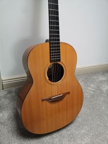 Lowden F12 LR Baggs Anthem