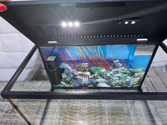 45l Fish Tank