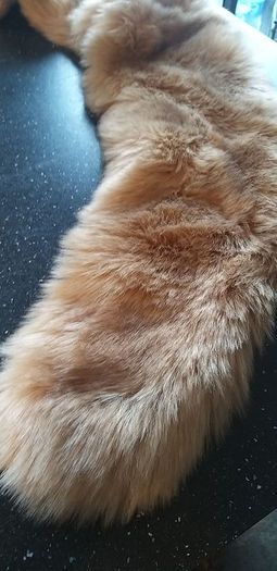 Fur Stole