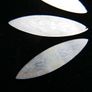 Antique 18th Century Chinese Mother Of Pearl  Gaming Counters Image 4