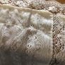 vintage ivory lace curtain panel Image 7