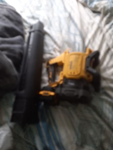 dewalt