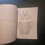 Life under the lens: A Scientific Colouring Book (Soft cover) Image 9