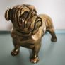Large brass bulldog Image 6