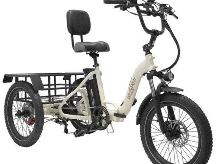 OneSport OT30 Electric Cargo Tricycle