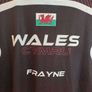 Wales pool jersey Image 4