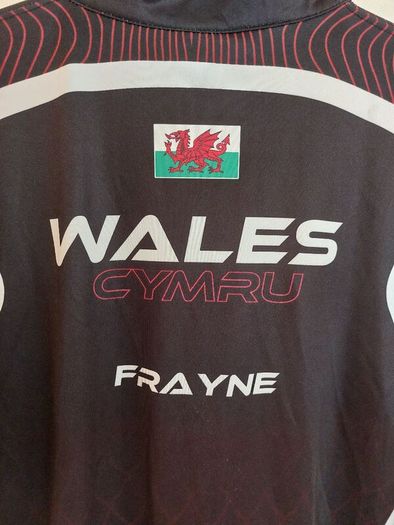 Wales pool jersey