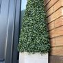 Artificial boxwood pyramids Image 2