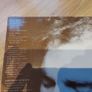 Van Morrison - Into The Music - Vinyl Record Image 2