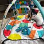 Baby Einstein Baby Gym Image 2