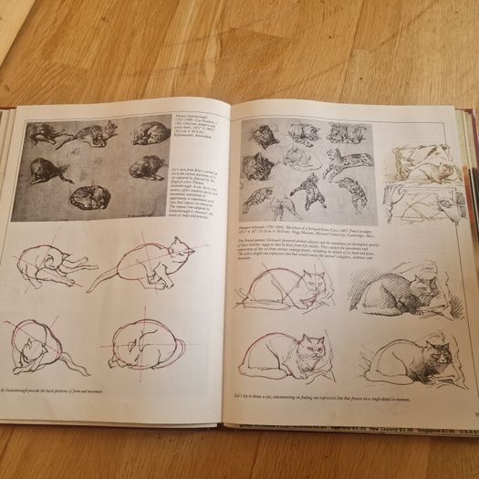 Drawing course collection of 9