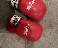 Rival Boxing Gloves
