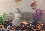 Goldfish Adoption