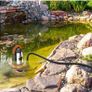 BRAND NEW sewage pump 1020n 2000l/h stainless steel pump sump pump for Swimming Pool Tub and Garden Irrigation and Long 32ft Cable Image 3