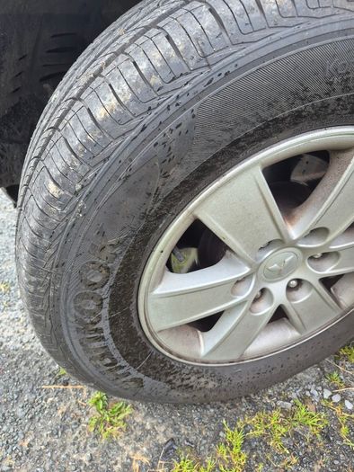 Pajero