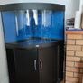 JUWEL Trigon 190 Ugh Corner Aquarium and Cabinet Fish Tank Full Set Sunsun Filter Image 7
