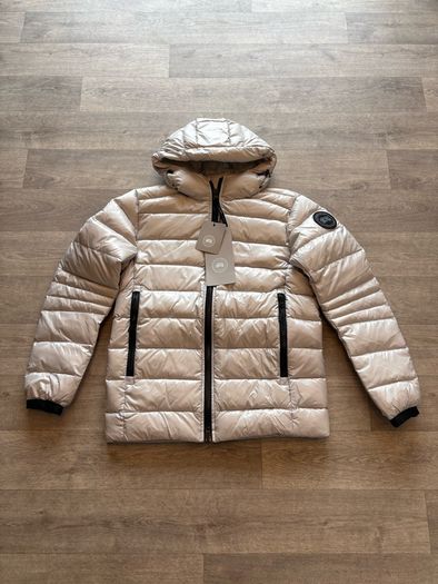 canada goose