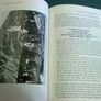 Headlines and Haloes Ireland Irish history Image 5