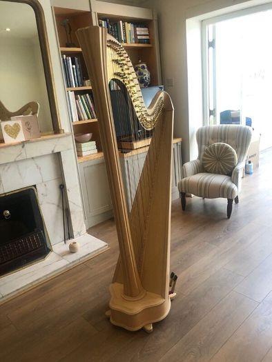 Salvi Daphne 40 Pedal Harp in Perfect Condition