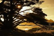 Wallpaper 400x280cm