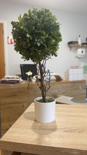 Collection of fake plants and pots