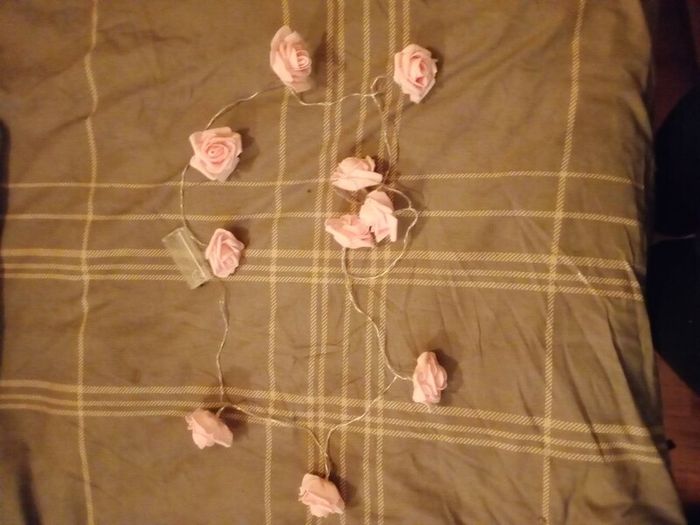 Red Rose & Pink String Lights