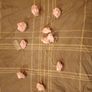 Red Rose & Pink String Lights Image 4