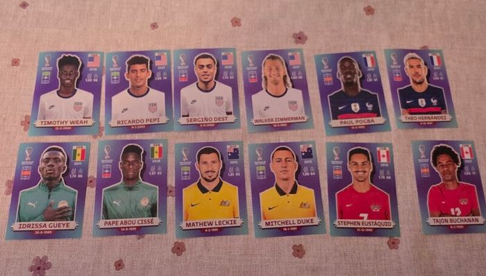 Panini World Cup 2022