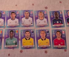 Panini World Cup 2022