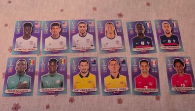 Panini World Cup 2022