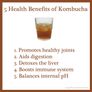 Organic Kombucha Scoby Image 3