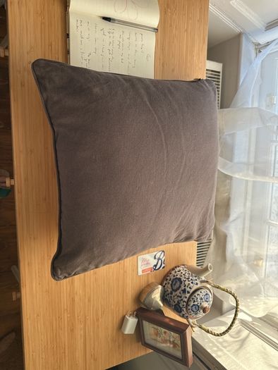 M&S Bee Cushion & Matching Sage Green Cushions (3 Pack)