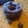 Cat Tunnel and Bed Image 4