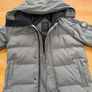 Canada goose Image 3