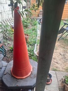 traffic cone
