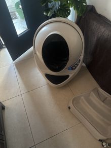 Cat litter robot.