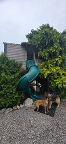 treehouse and slide