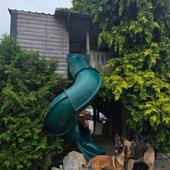 treehouse and slide
