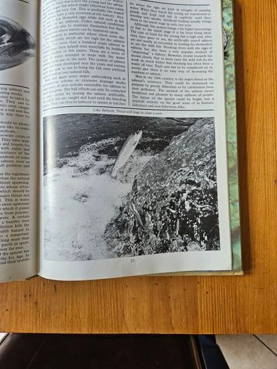 The Irish Wildlife Book. Edited By Fergus O'gorman. Illustrated By Gerrit Van Gelderen, Eamon De Buitlear And Richard Mills. First Edition Large Volume Hardback In Good Condition.