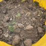 topsoil Image 2