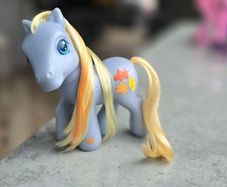 Autumn Skye HTF MLP G3 My Little Pony 2002