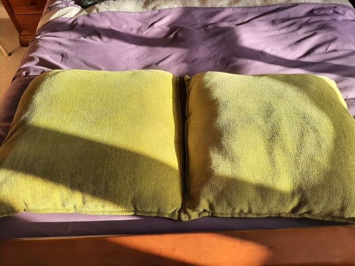 2 x large lime green cushion