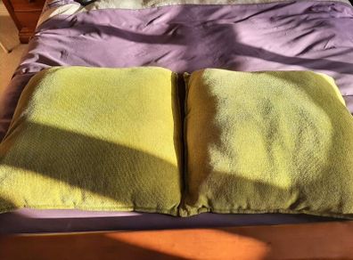 2 x large lime green cushion