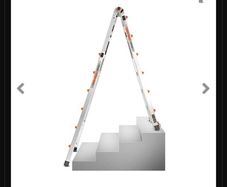 ladder