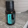 DOTERRA Bergamot Mint Essential Oil 15 ml Brand new and unopened. 100% pure therapeutic grade essential oil, known for its soothing, fresh citrus and minty aroma, perfect for relaxation and uplifting diffusion. Image 2
