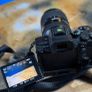 Sony A7siii w tamrom 24-70 / 70-200 Image 3