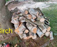 Firewood